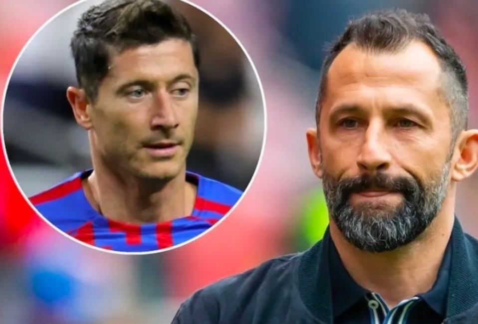 引进更有策 引进更有策